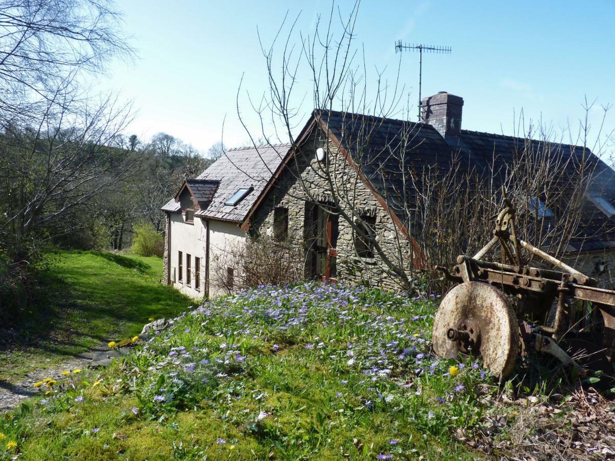 Ceridwen Holiday Homes Llandysul Esterno foto